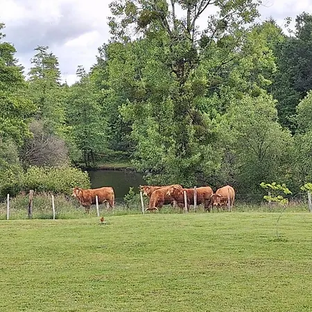 Les Granges De Soulagnieux